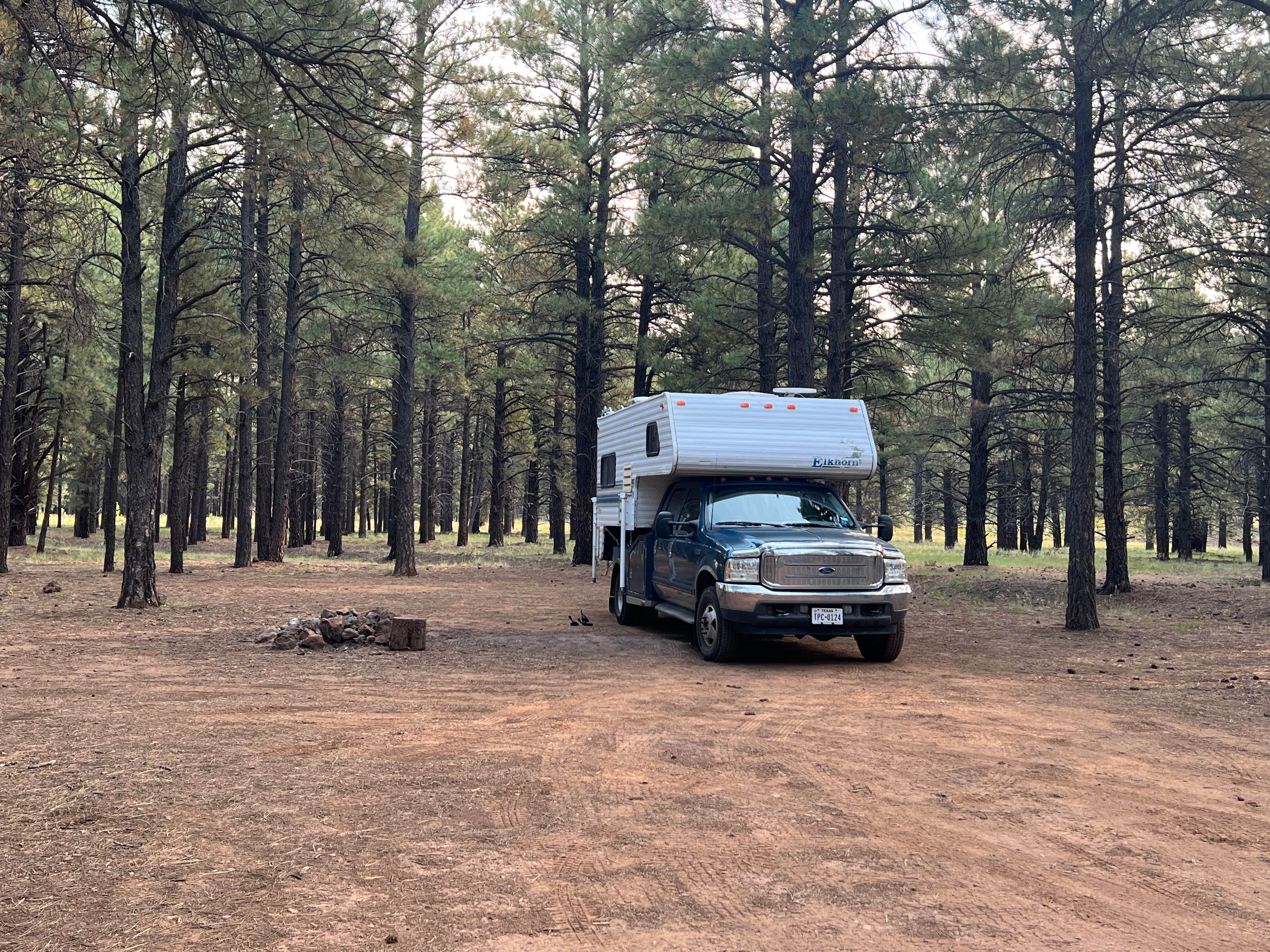 Camper submitted image from Walker Hill Dispersed (Coconino NF) - 3