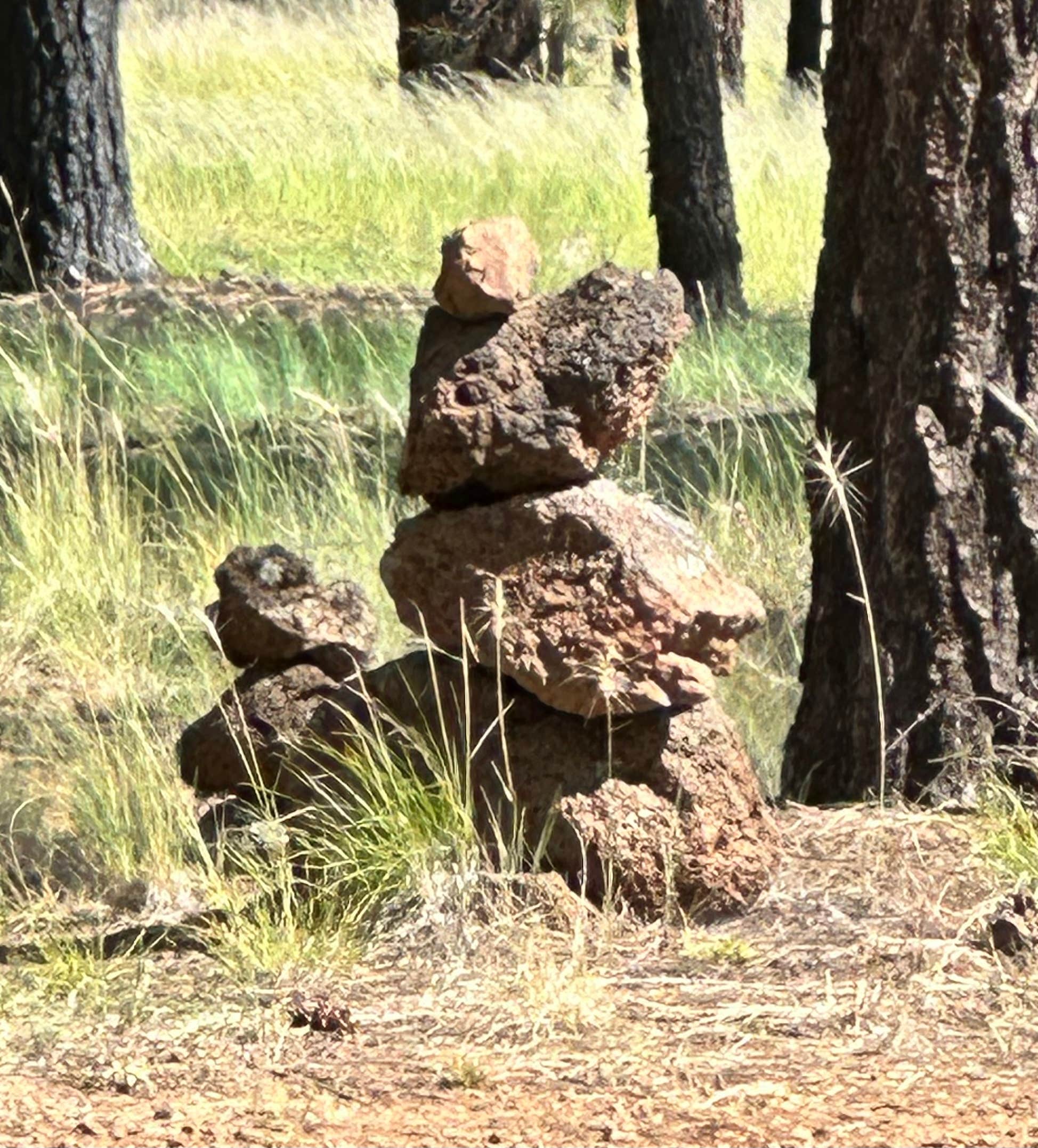 Camper-submitted photo at Walker Hill Dispersed (Coconino NF) near Parks, AZ
