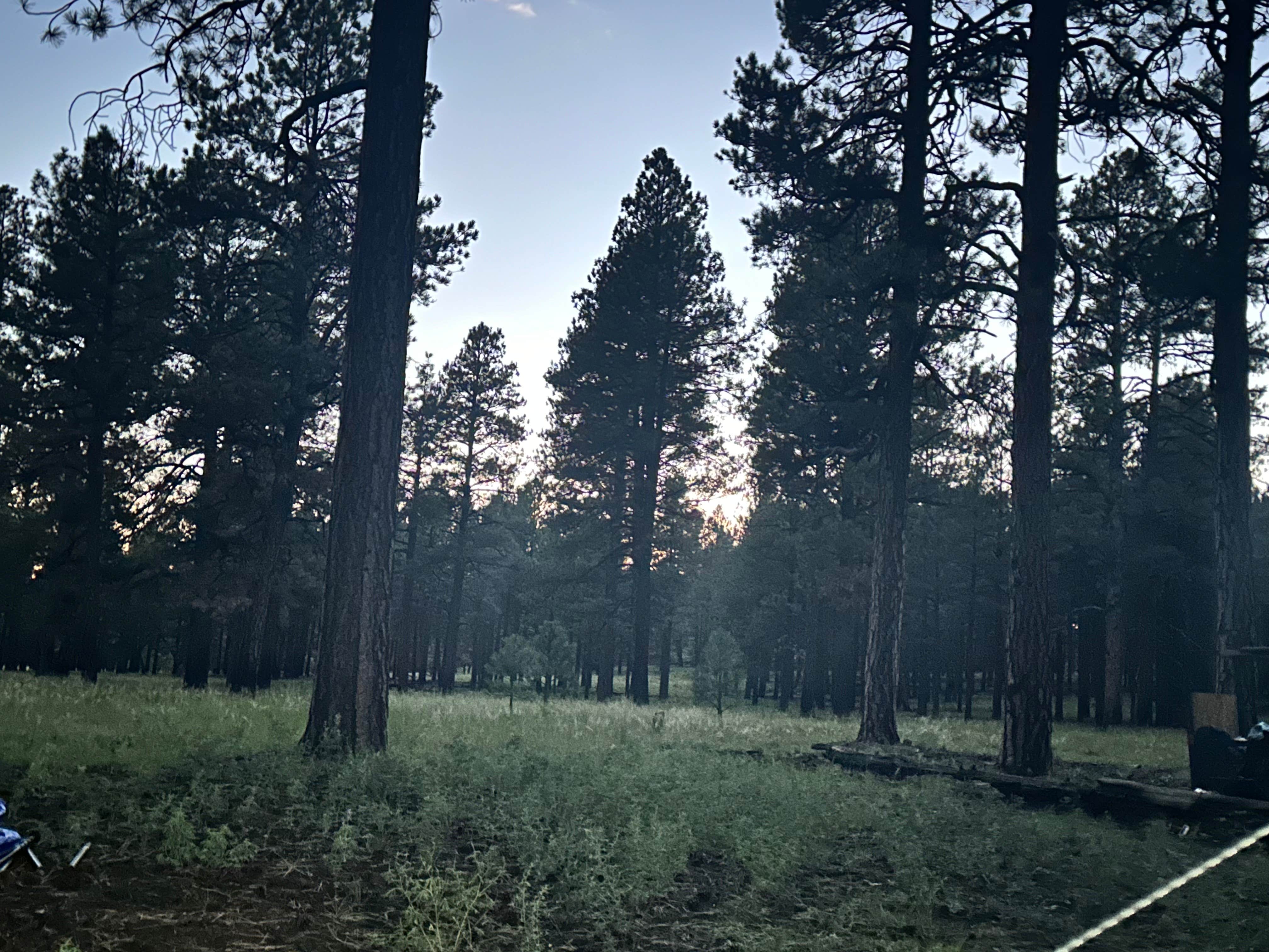 Camper-submitted photo at Walker Hill Dispersed (Coconino NF) near Parks, AZ