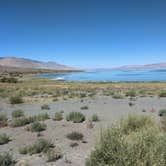 Review photo of Walker Lake by Rebecca C., September 3, 2026