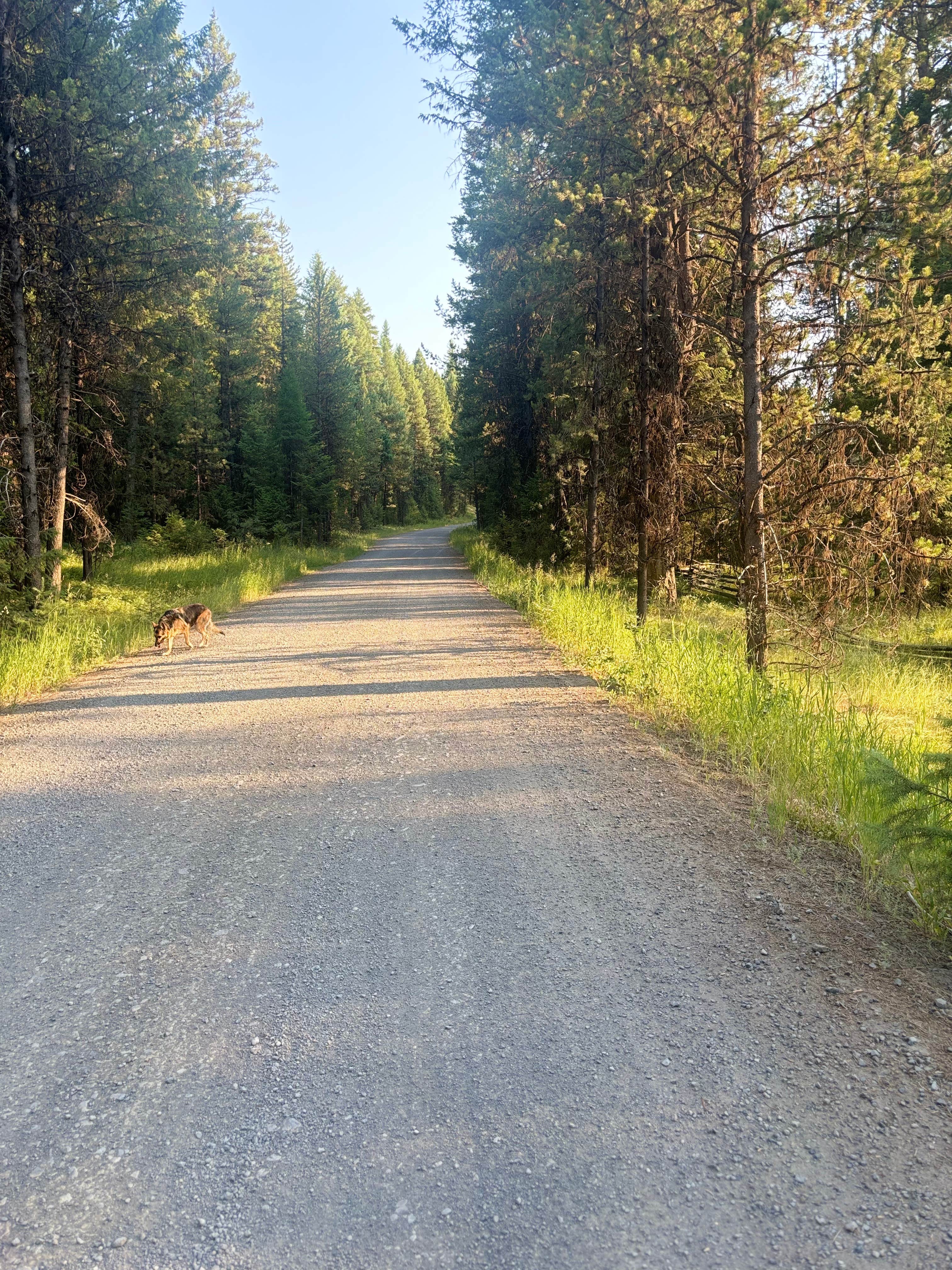 Camper-submitted photo at Wallowa-Whitman NF 21 - Dispersed near Baker City, OR