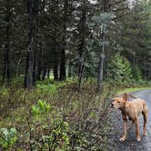 Review photo of Wallowa-Whitman NF 21 - Dispersed by Marasha , July 10, 2024