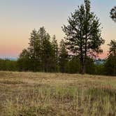Review photo of Wallowa-Whitman NF 21 - Dispersed by Roy S., July 25, 2025