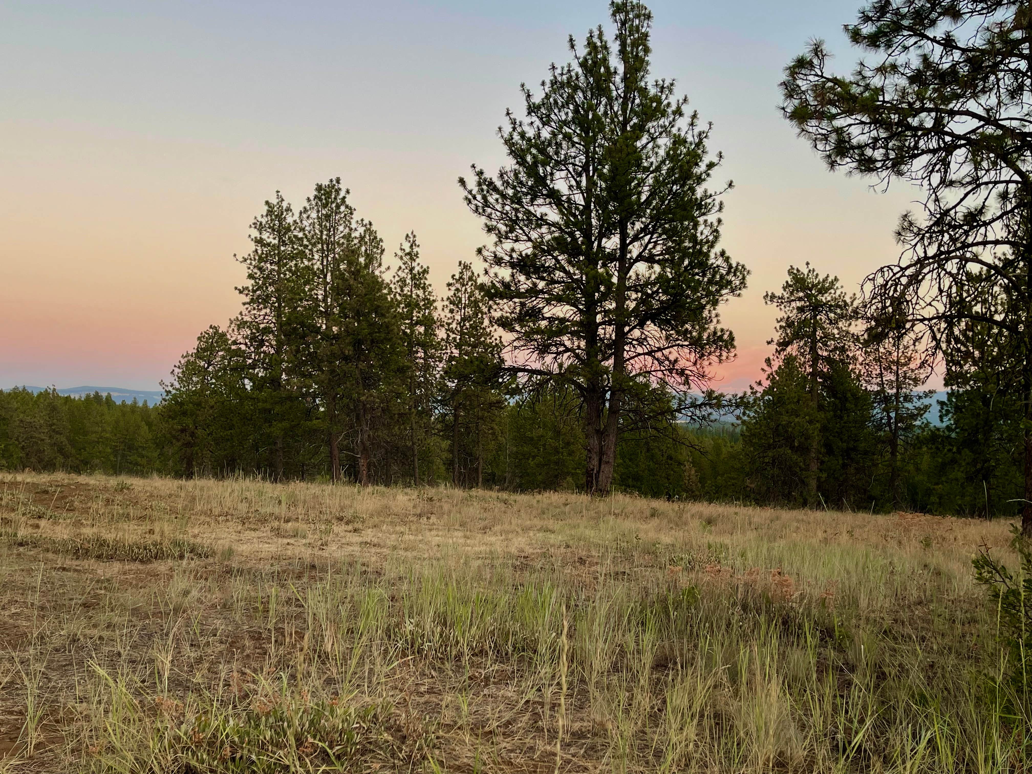 Camper submitted image from Wallowa-Whitman NF 21 - Dispersed - 1
