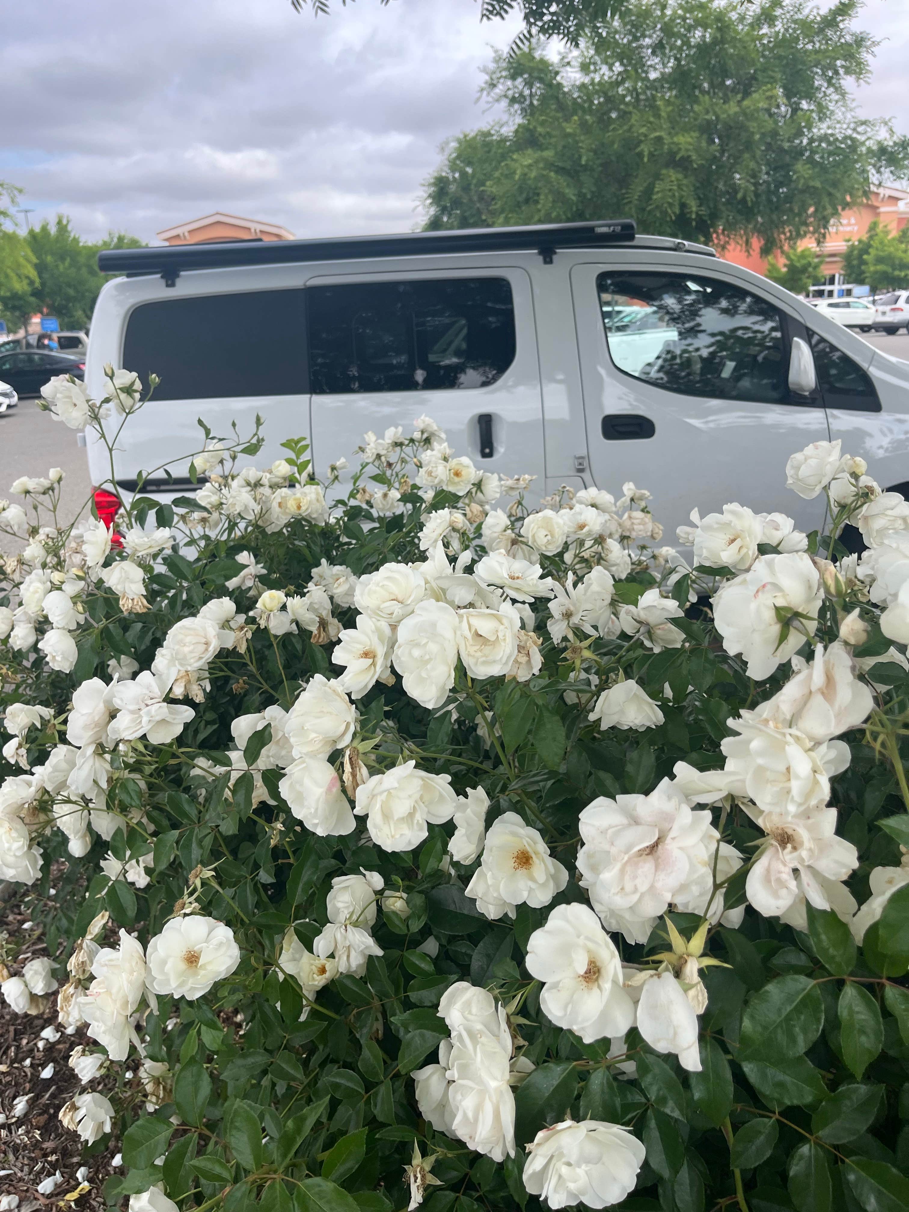 Walmart — Clovis Supercenter