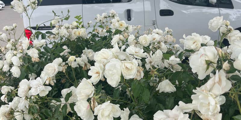 Camper submitted image from Walmart — Clovis Supercenter