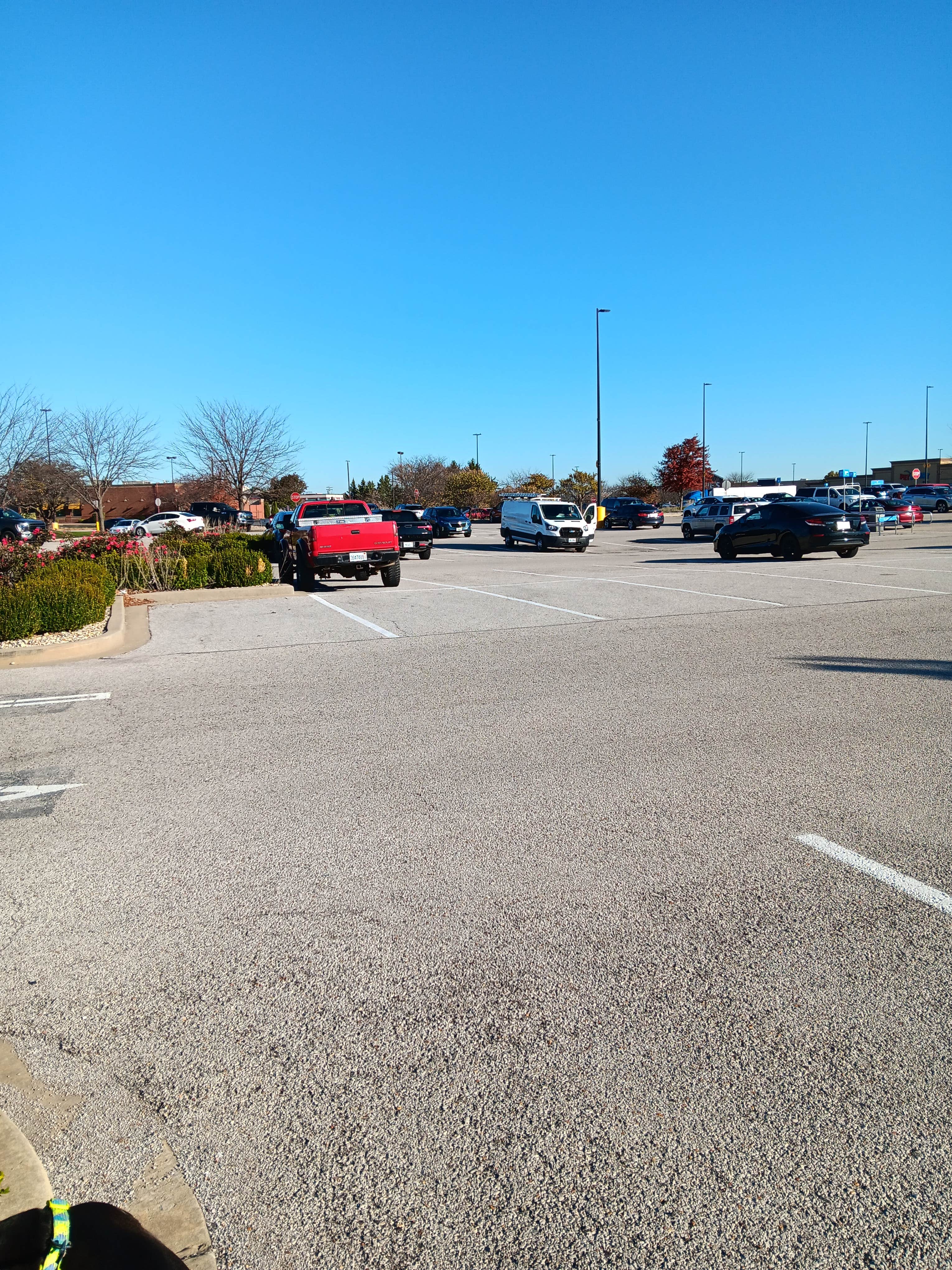 Alice S.'s photo of camping with pets at Walmart — Glen Carbon Supercenter near Glen Carbon, IL
