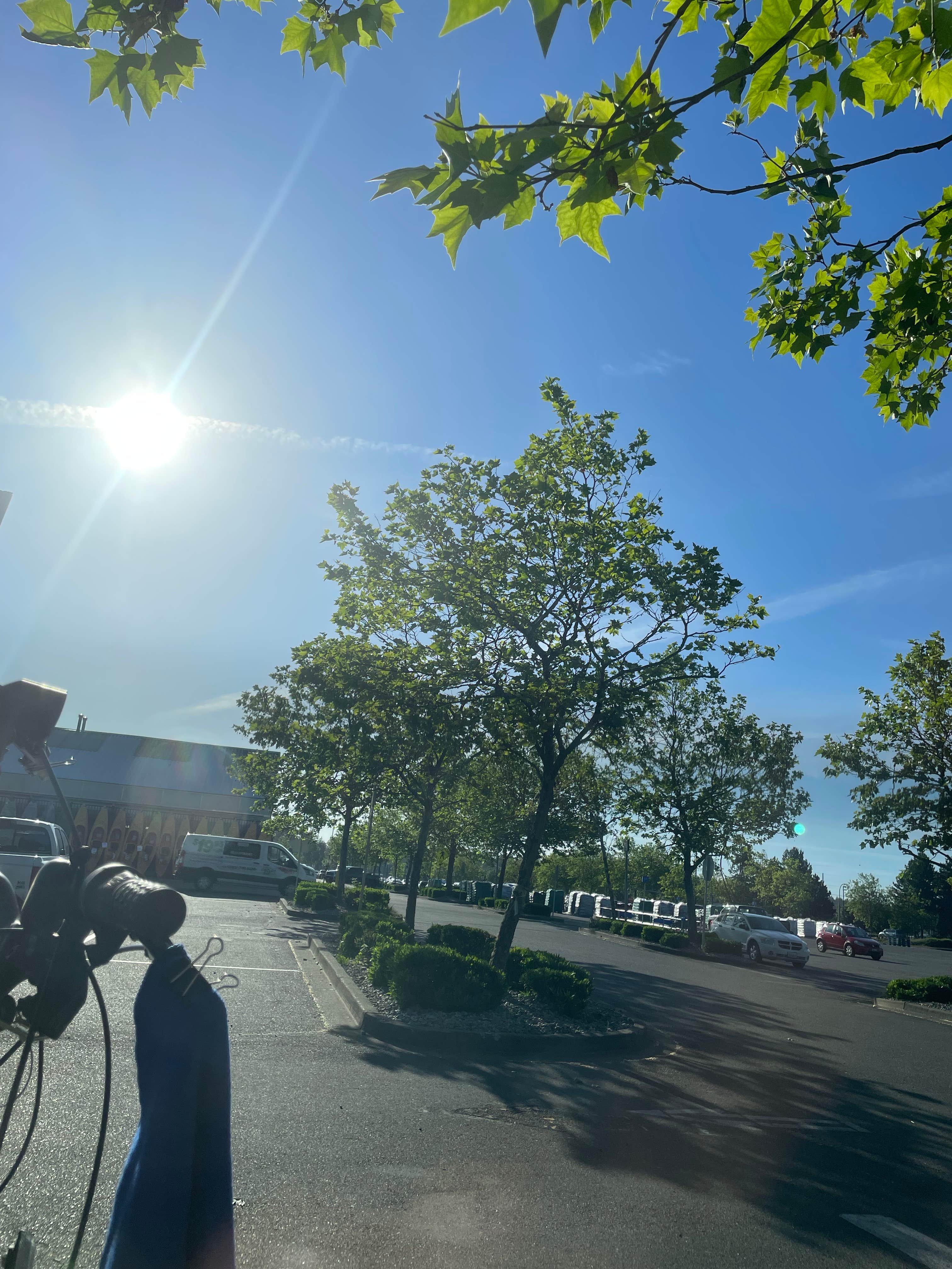 Walmart — Shelton Supercenter