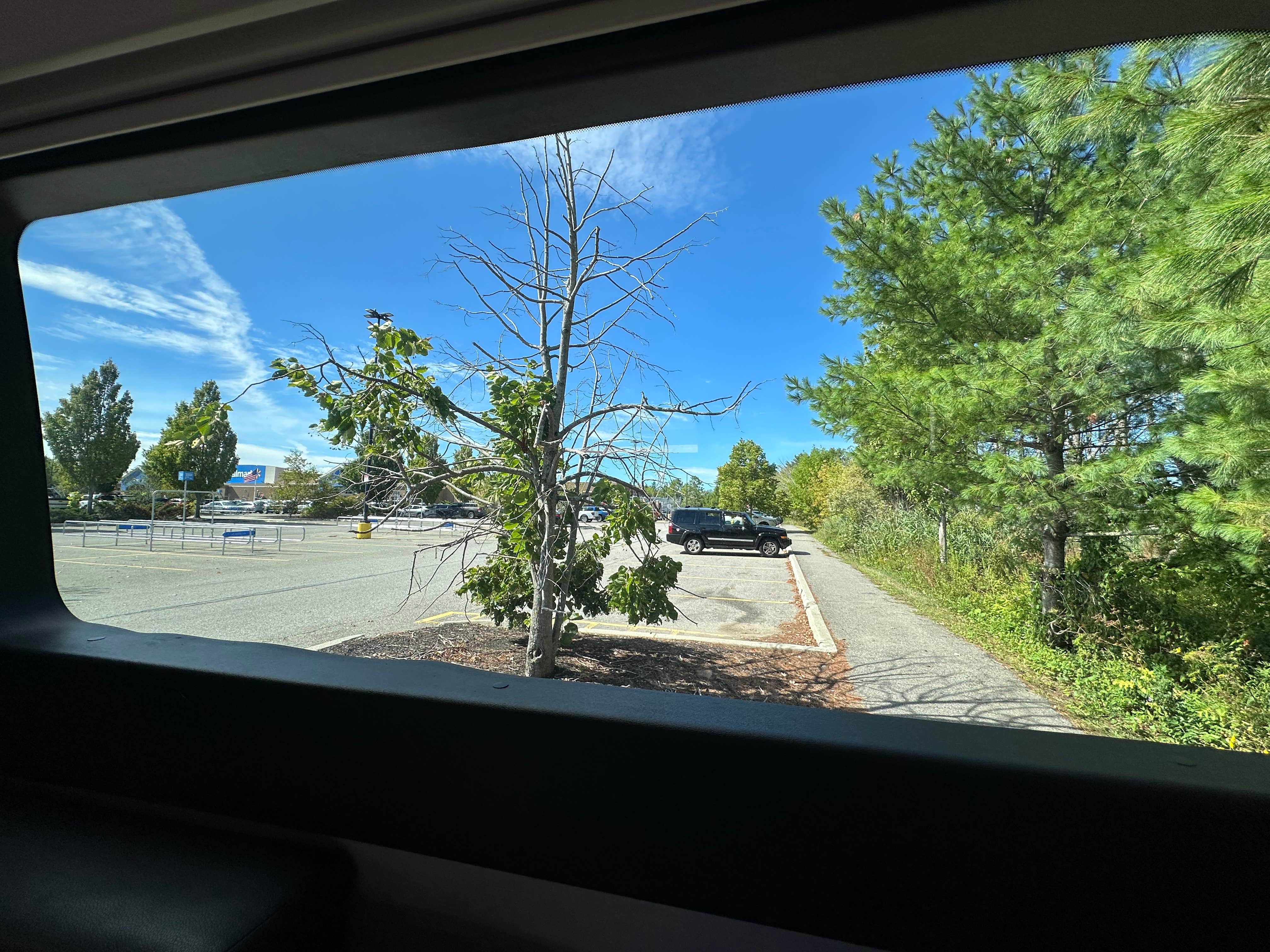 Walmart — Thomaston Supercenter