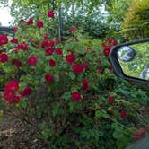 Review photo of Walmart — Tumwater Supercenter by Brett B., June 6, 2025