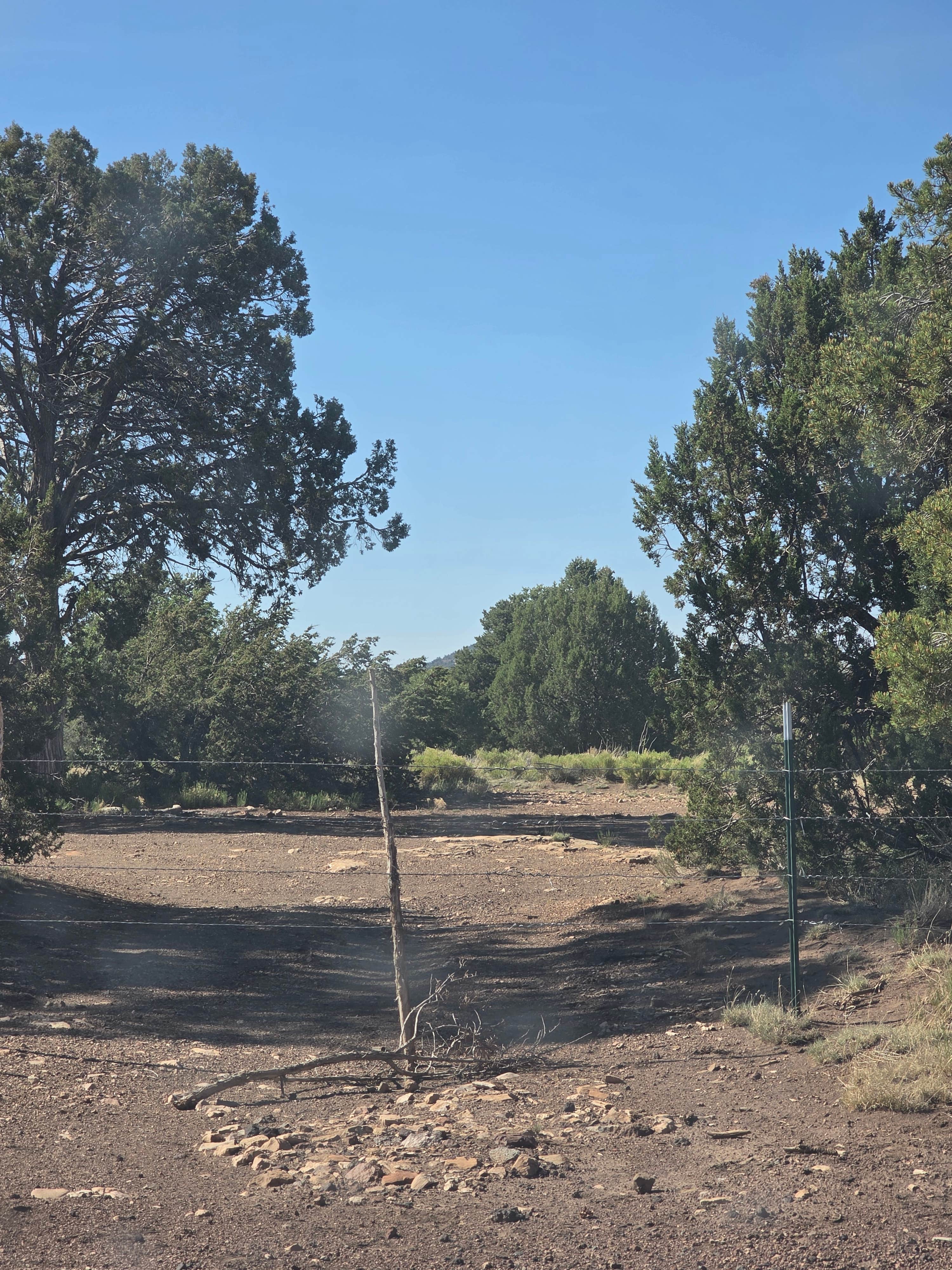 Camper submitted image from Walnut Canyon - 2