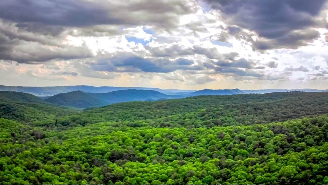 SomadNomad M.'s photo of a dispersed camping area at Walnut Flats near Dublin, VA