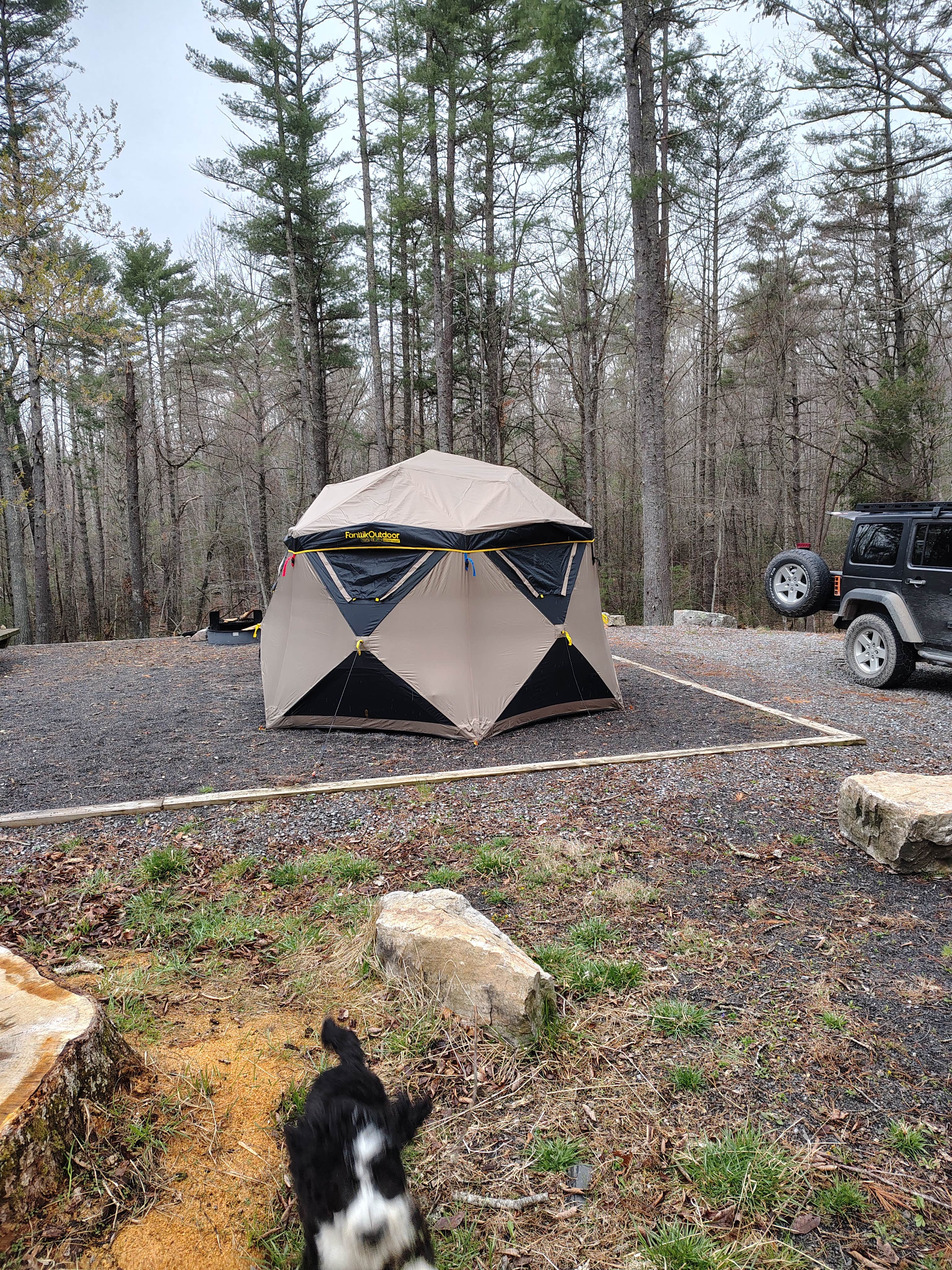 Camper-submitted photo at Walnut Flats near Dublin, VA