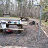 Review photo of Walnut Flats by Dennis R., June 17, 2025