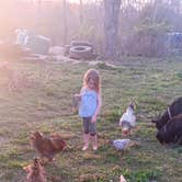 Review photo of Wanderers End Sanctuary Forest Farm by Bonnie M., April 15, 2024