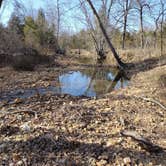 Review photo of Wanderers End Sanctuary Forest Farm by Bonnie M., April 15, 2024