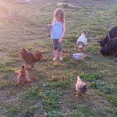 Review photo of Wanderers End Sanctuary Forest Farm by Bonnie M., April 15, 2024