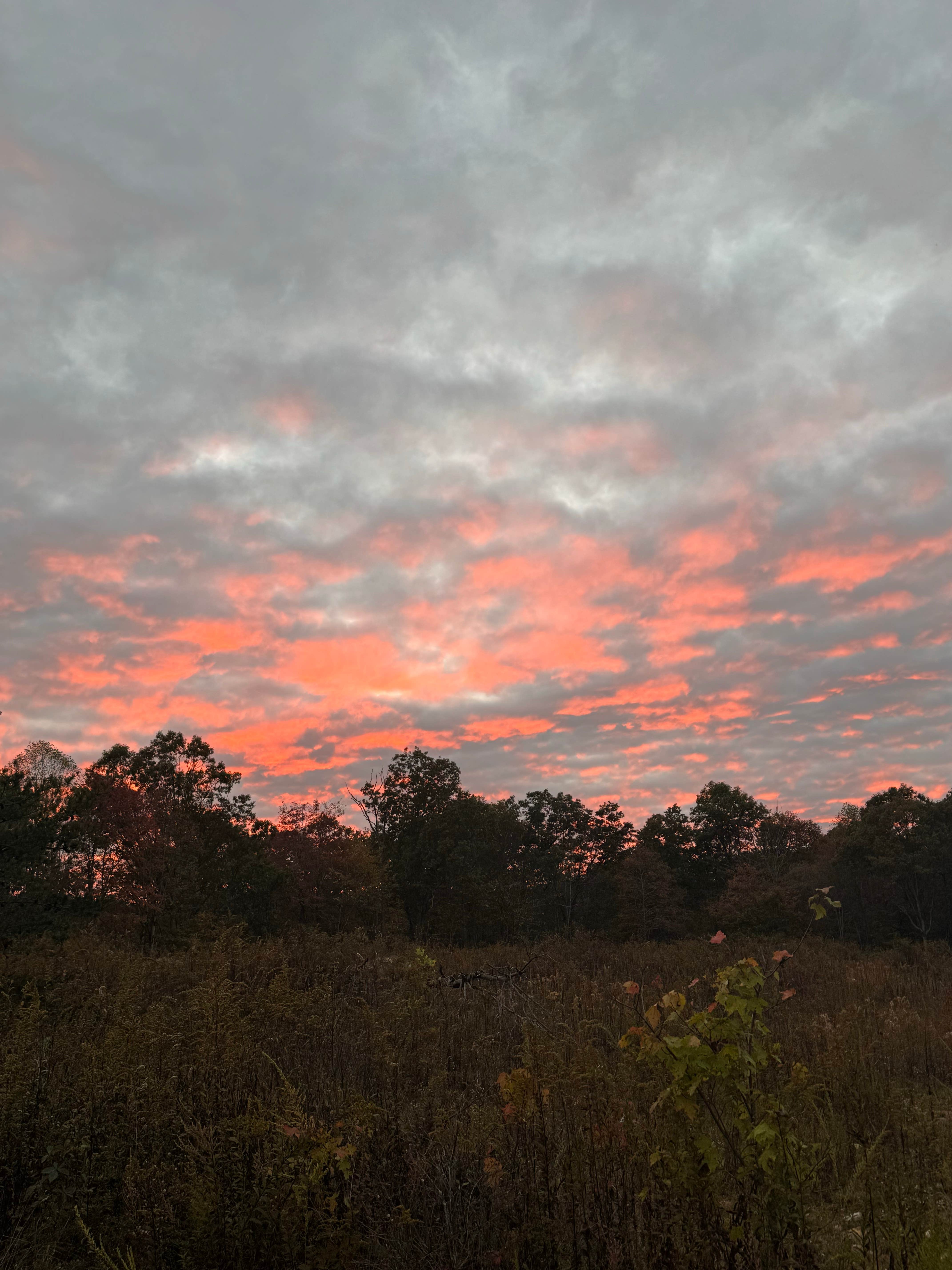Camper submitted image from War Ridge / Backus Mountain Campground — New River Gorge National Park and Preserve - 4