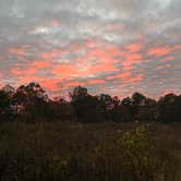 Review photo of War Ridge / Backus Mountain Campground — New River Gorge National Park and Preserve by Tim M., October 17, 2025