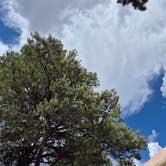 Review photo of Ward Mtn. Campground (murray Summit) by Bob D., August 28, 2026