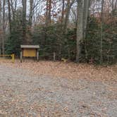 Review photo of Ware Creek Wildlife Management Area by Vidalia S., November 20, 2025