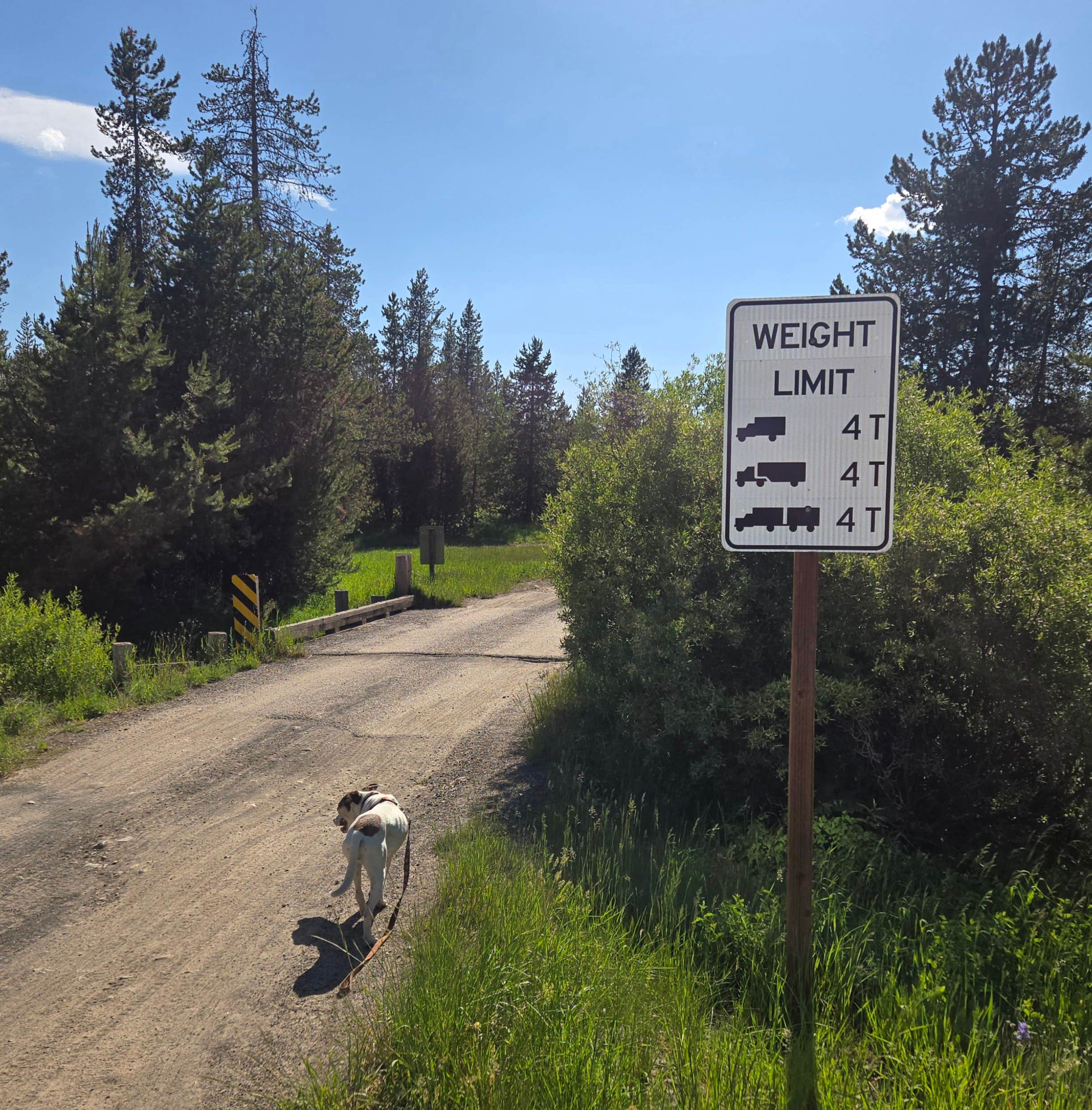 Camper-submitted photo at Warm River on Forest Road 150 near Island Park, ID