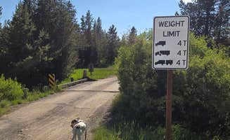 mark F.'s photo of camping with pets at Warm River on Forest Road 150 in Idaho