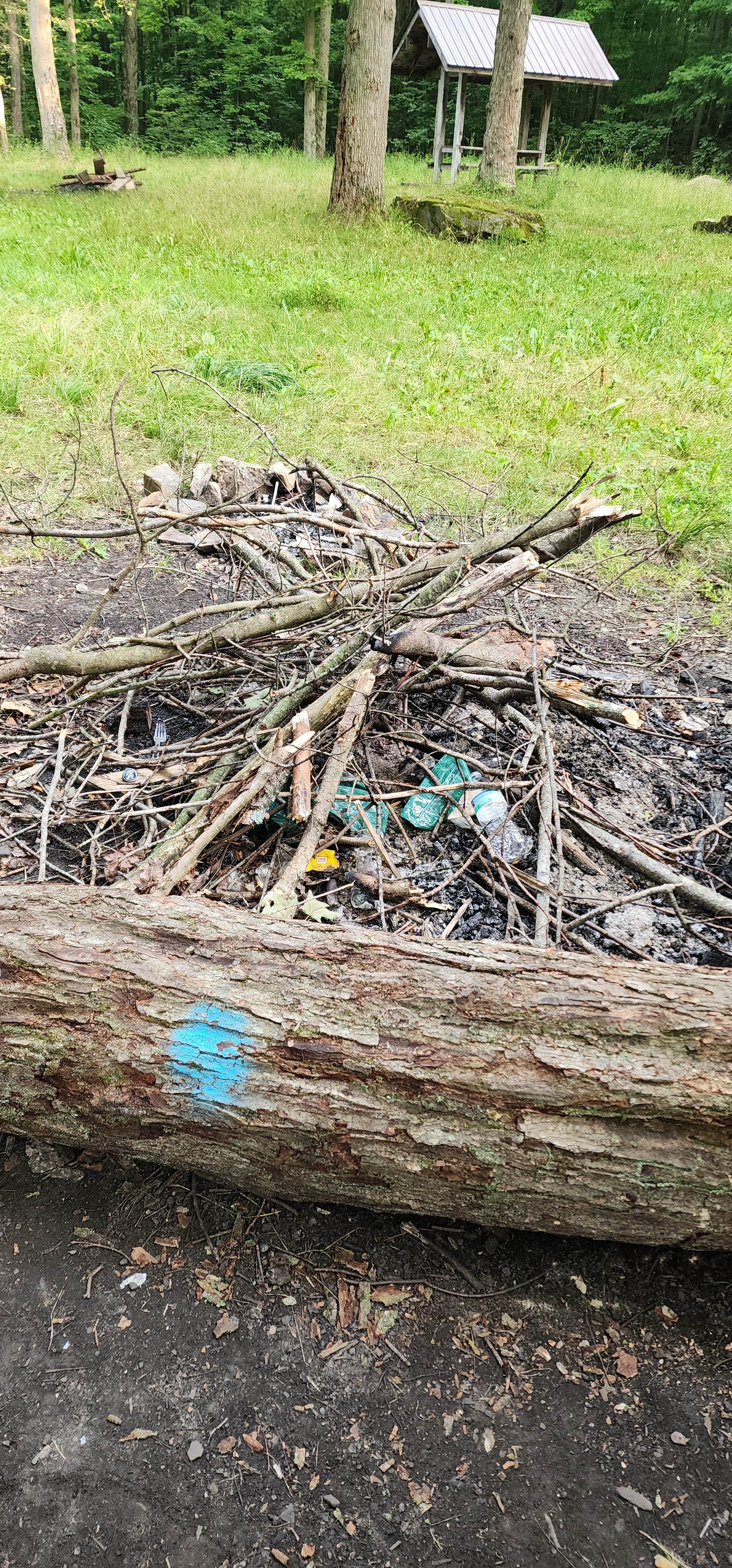 Camper-submitted photo at Warner Road Dispersed Camping in North Harmony State Forest near Erie, PA