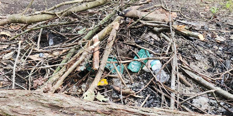 Camper submitted image from Warner Road Dispersed Camping in North Harmony State Forest