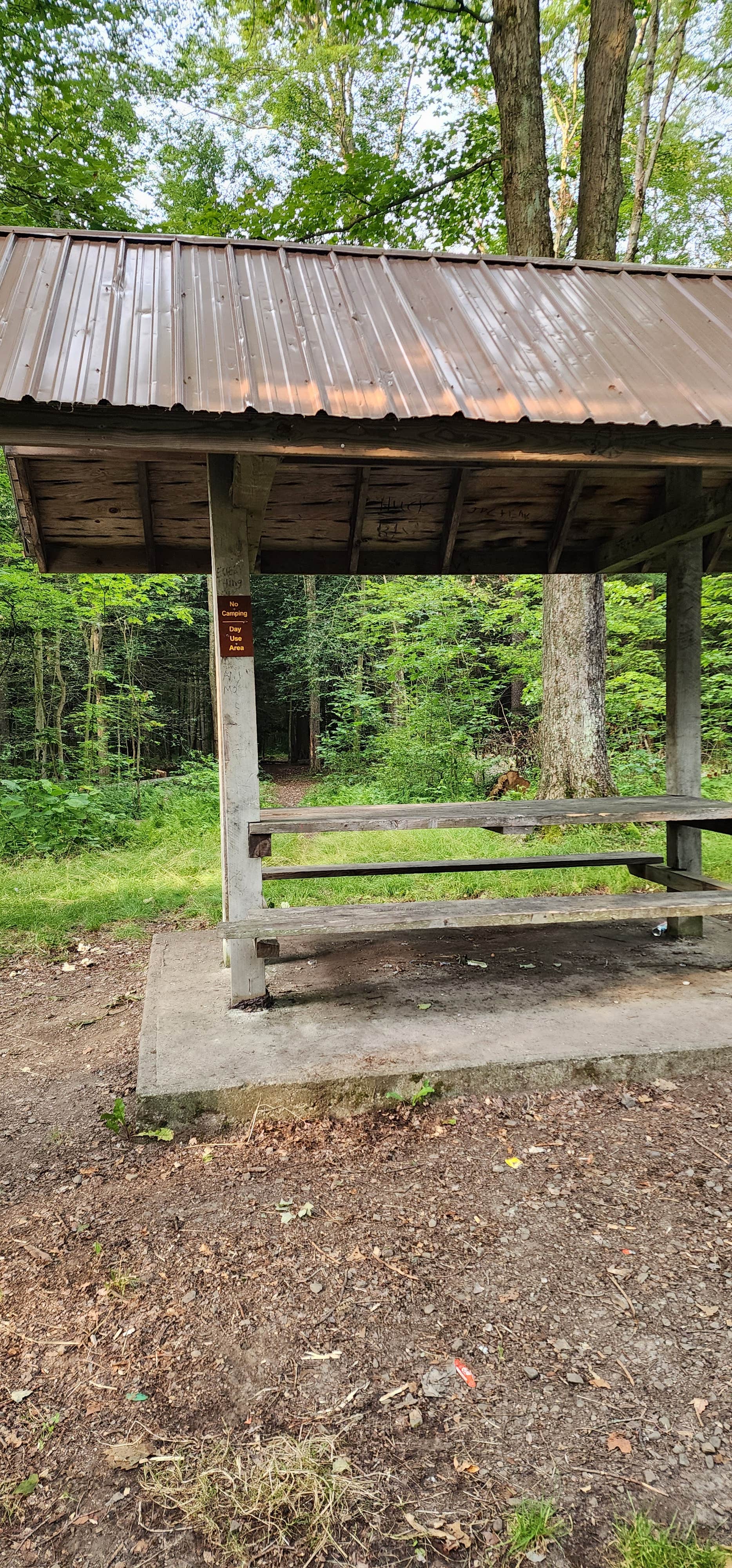 Camper-submitted photo at Warner Road Dispersed Camping in North Harmony State Forest near Erie, PA