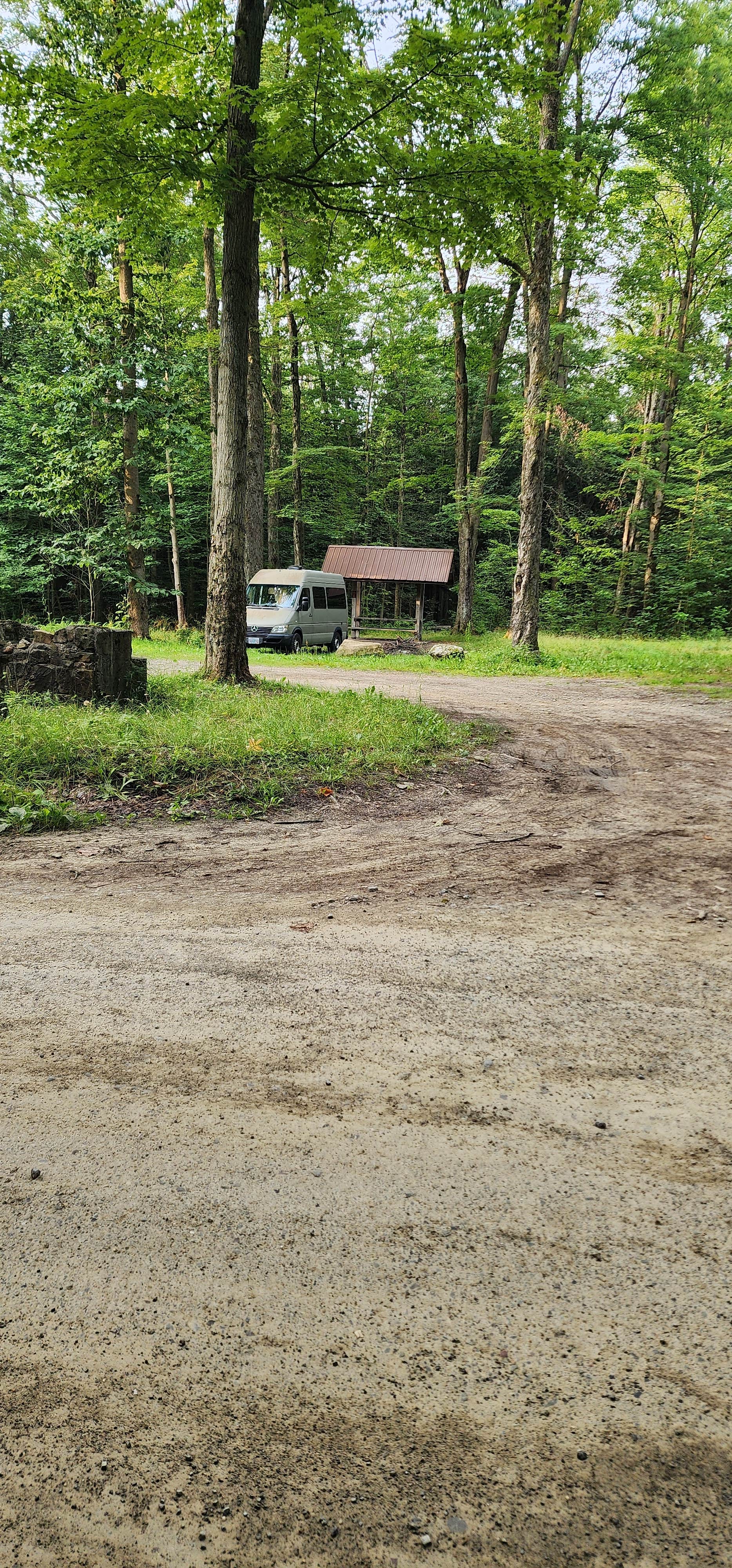 Camper-submitted photo at Warner Road Dispersed Camping in North Harmony State Forest near Erie, PA