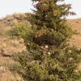 Review photo of Warren Bridge Recreation Area Designated Dispersed Camping by TheFoxphire F., August 10, 2025