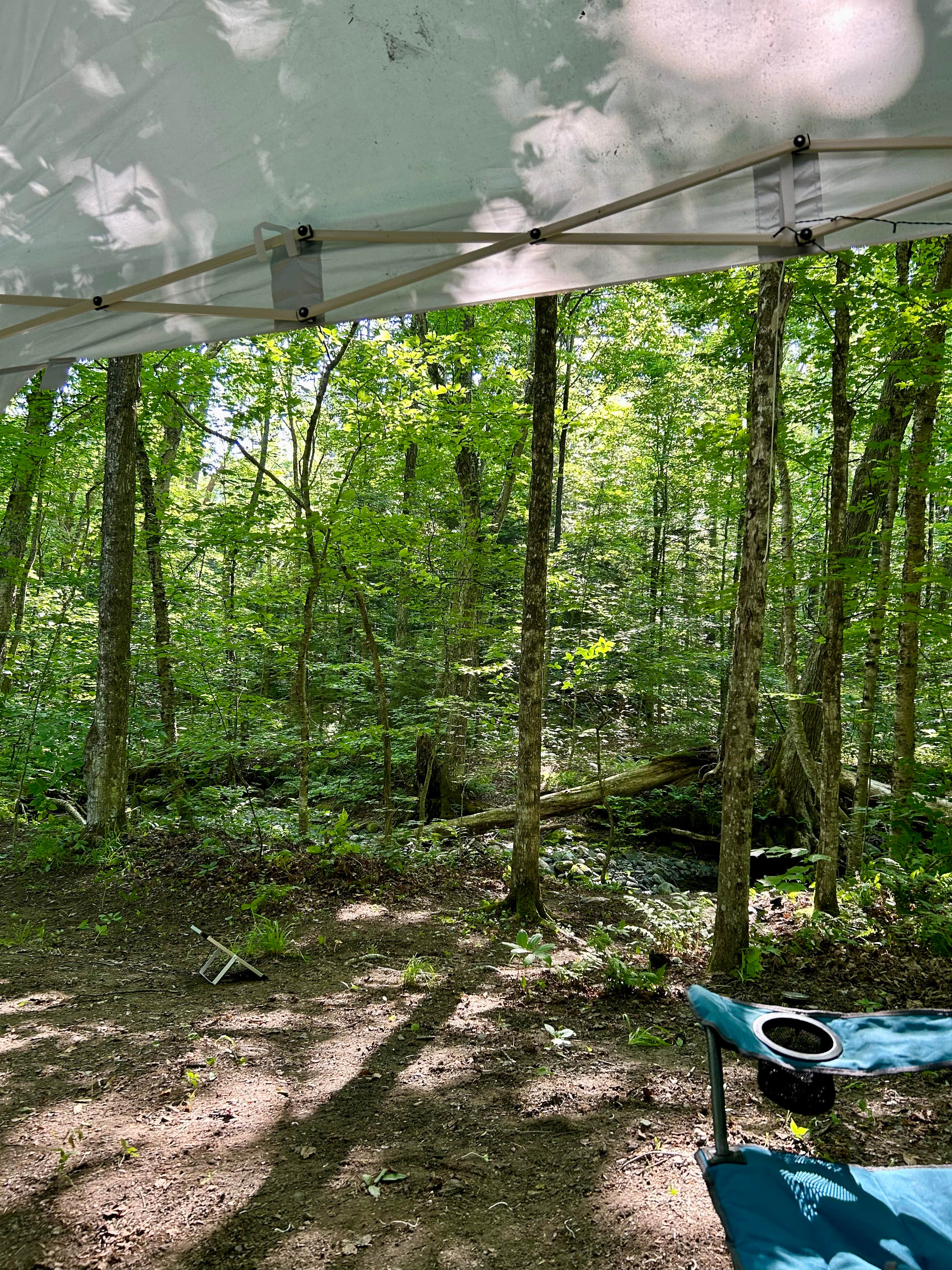 Thomas and James S.'s photo of a dispersed camping area at Austin Brook near Lewis, NY
