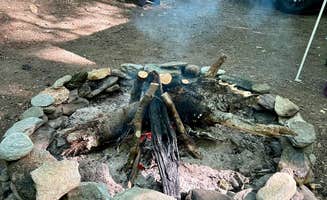 Thomas and James S.'s photo at Austin Brook near Berlin, VT
