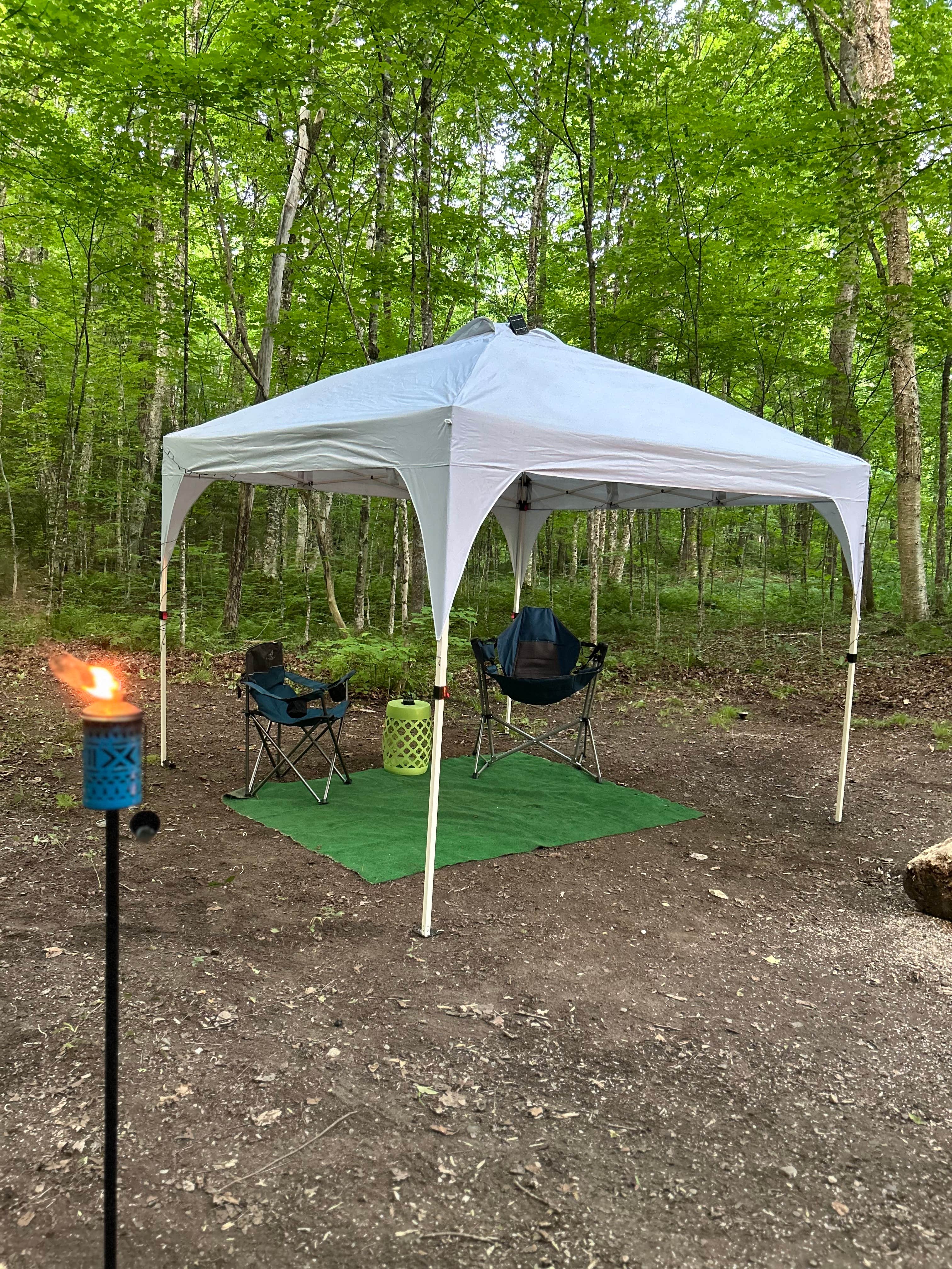 Thomas and James S.'s photo of a dispersed camping area at Austin Brook near Bradford, VT