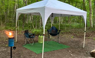 Thomas and James S.'s photo of a dispersed camping area at Austin Brook near Putnam Station, NY