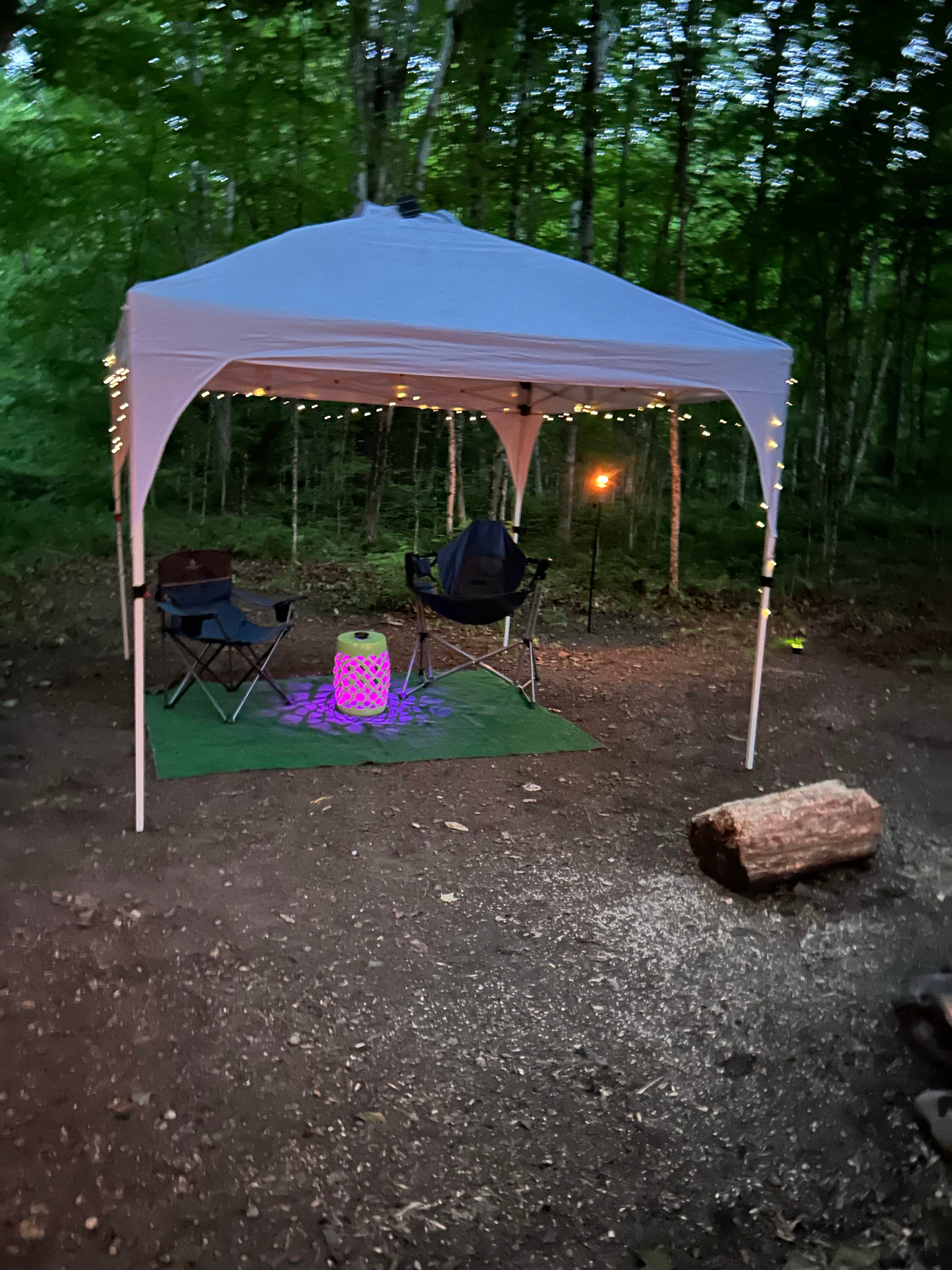 Thomas and James S.'s photo of a dispersed camping area at Austin Brook near Winooski, VT