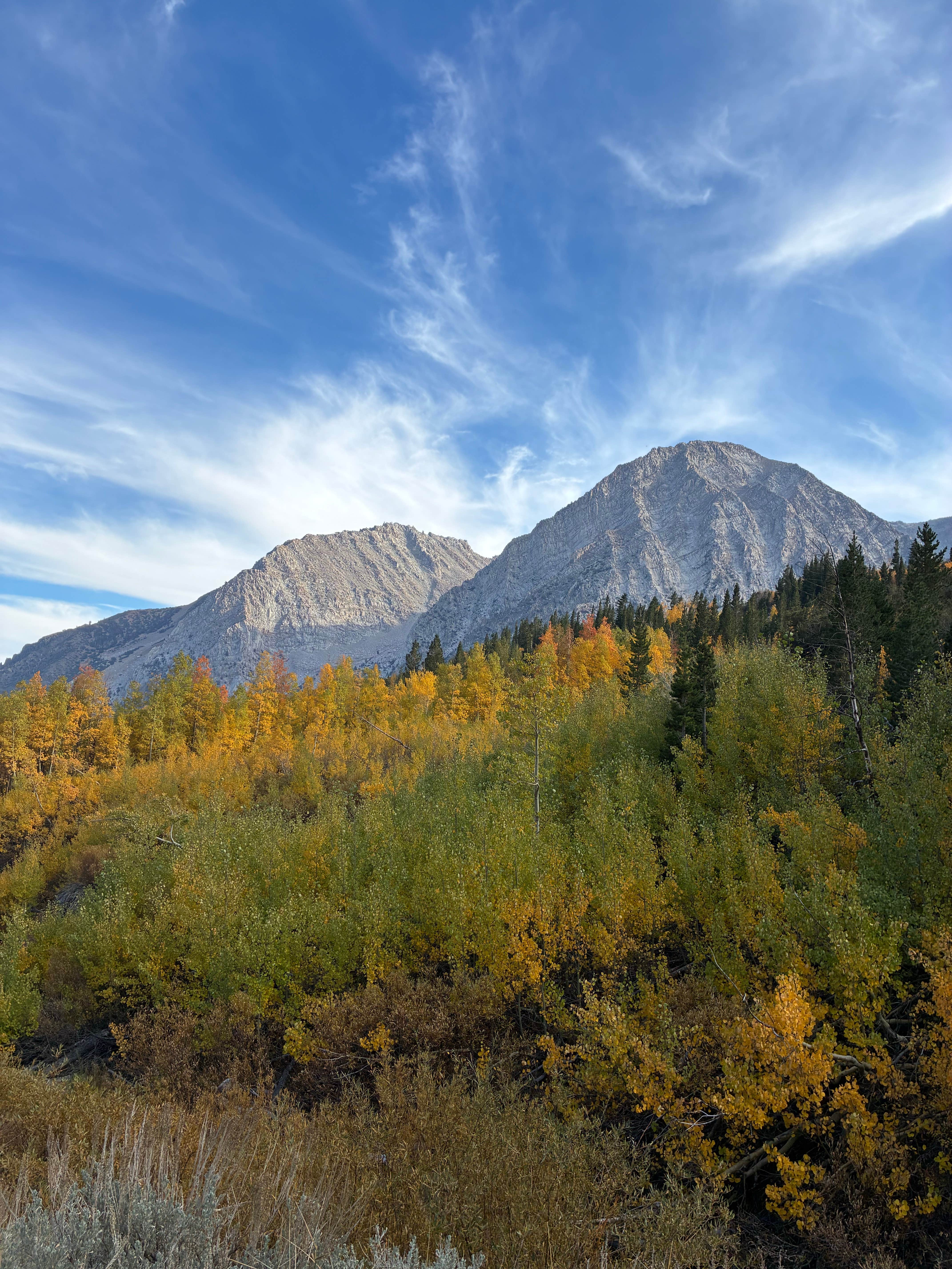 Camping near Aspen Campground: Warren Fork Trailhead, Lee Vining, California