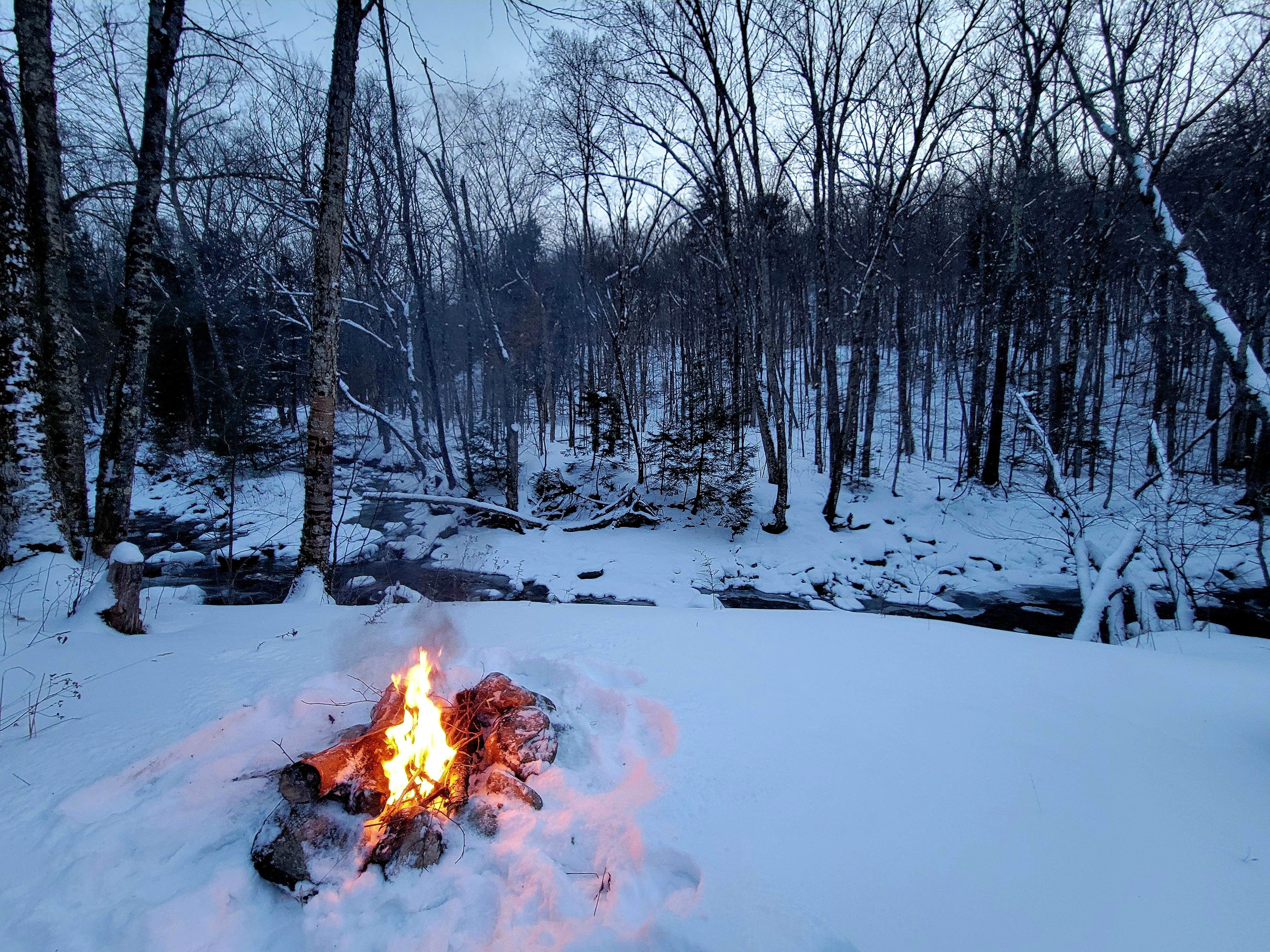 Camper-submitted photo at Route 100 Dispersed Camping near Plainfield, VT