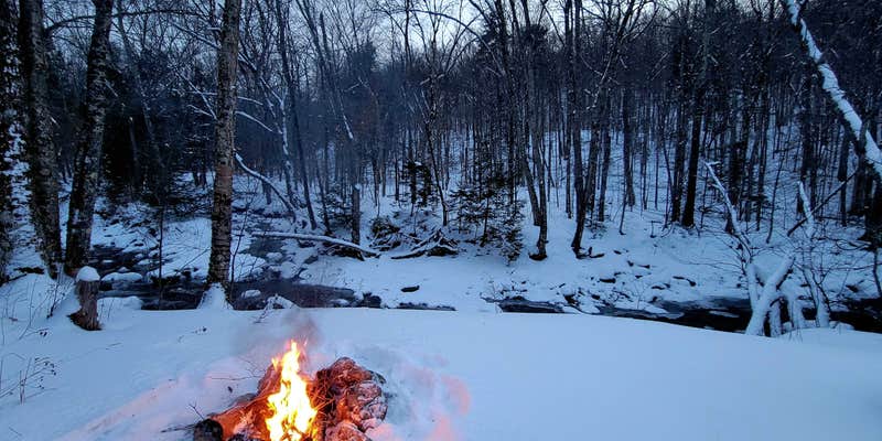 Camper submitted image from Route 100 Dispersed Camping