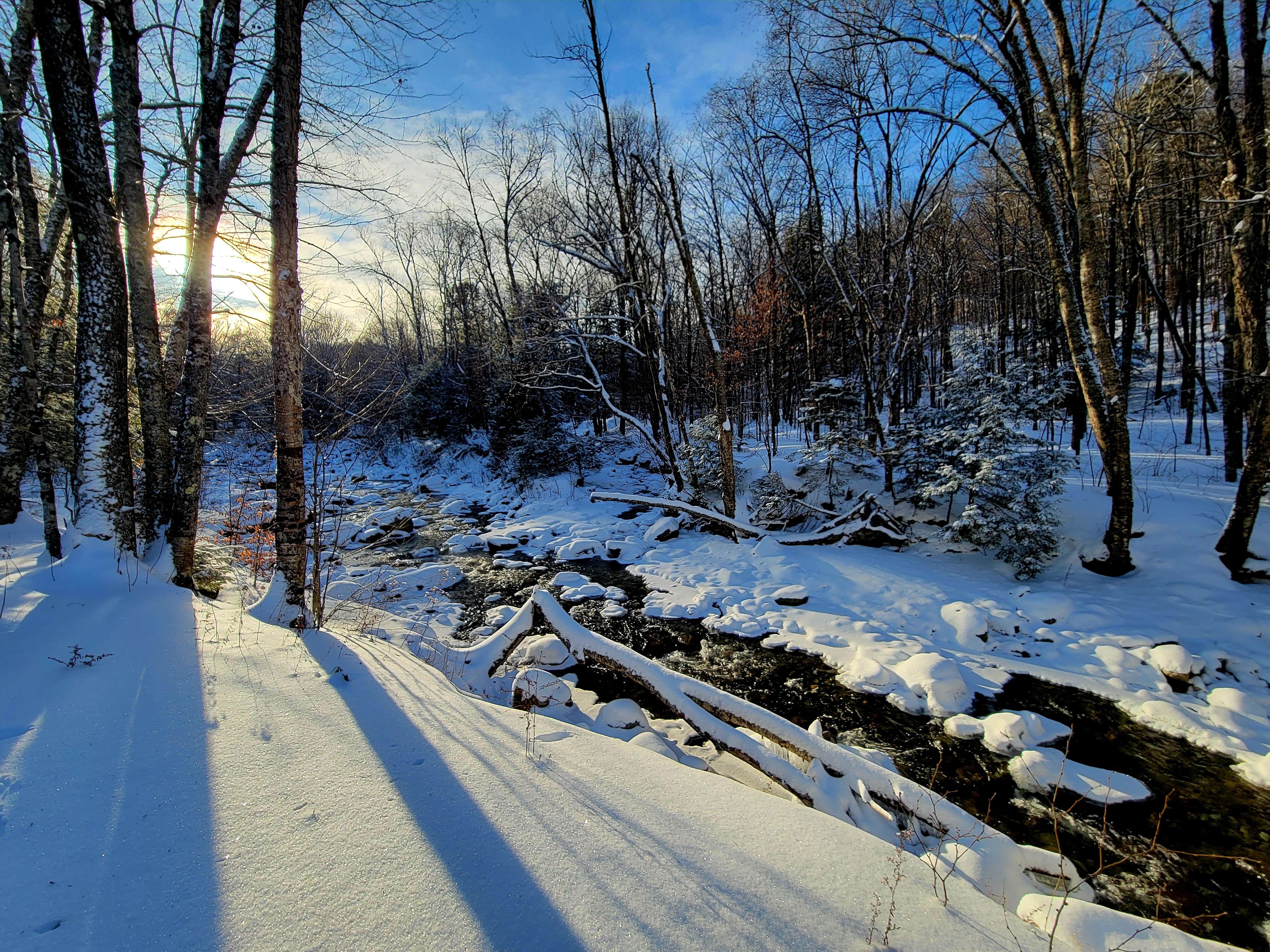 Karimah G.'s photo of a dispersed camping area at Route 100 Dispersed Camping near Plainfield, VT