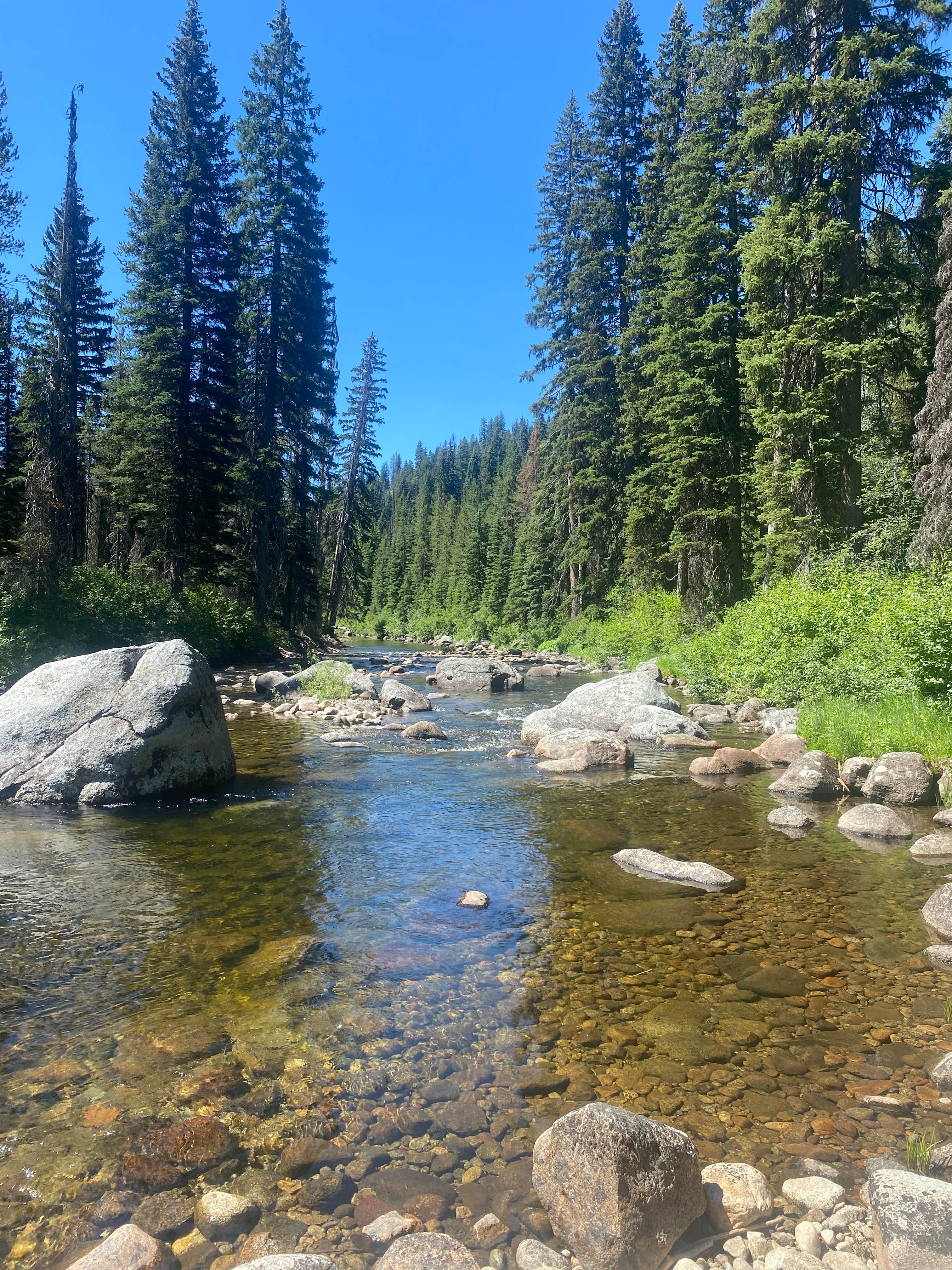 Imerie T.'s photo of a dispersed camping area at Warren Wagon Rd near Warren, ID