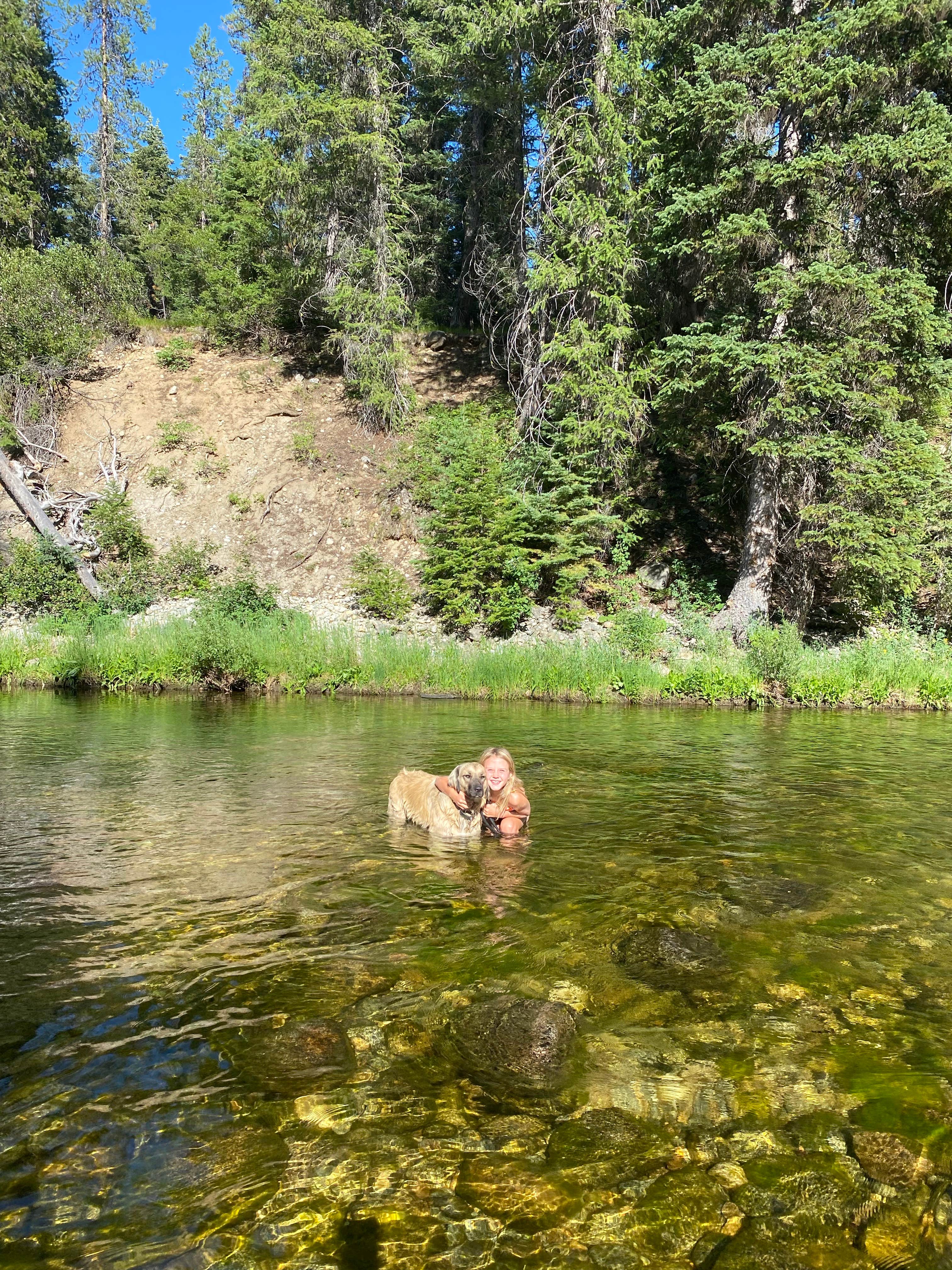 Camper-submitted photo at Warren Wagon Rd near Warren, ID