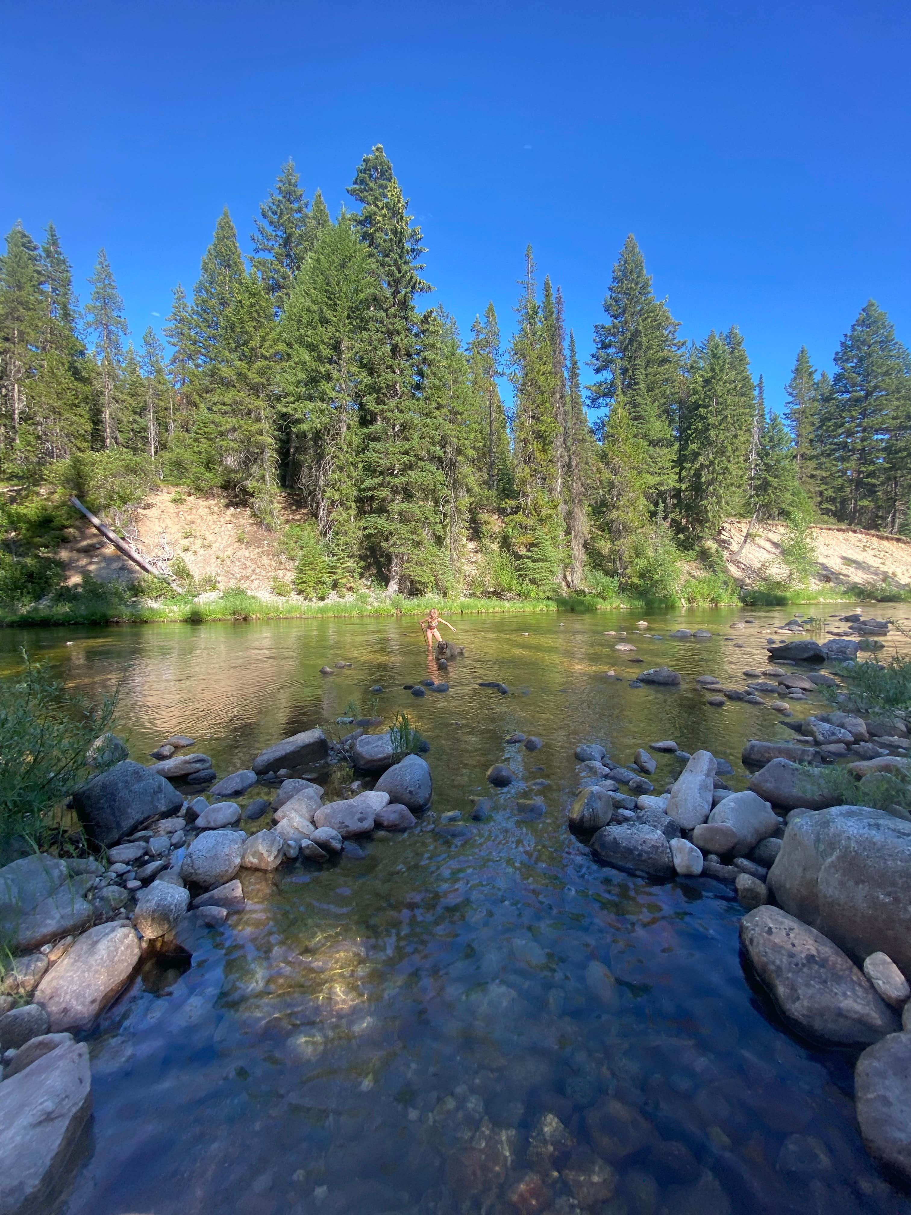 Camper-submitted photo at Warren Wagon Rd near Warren, ID