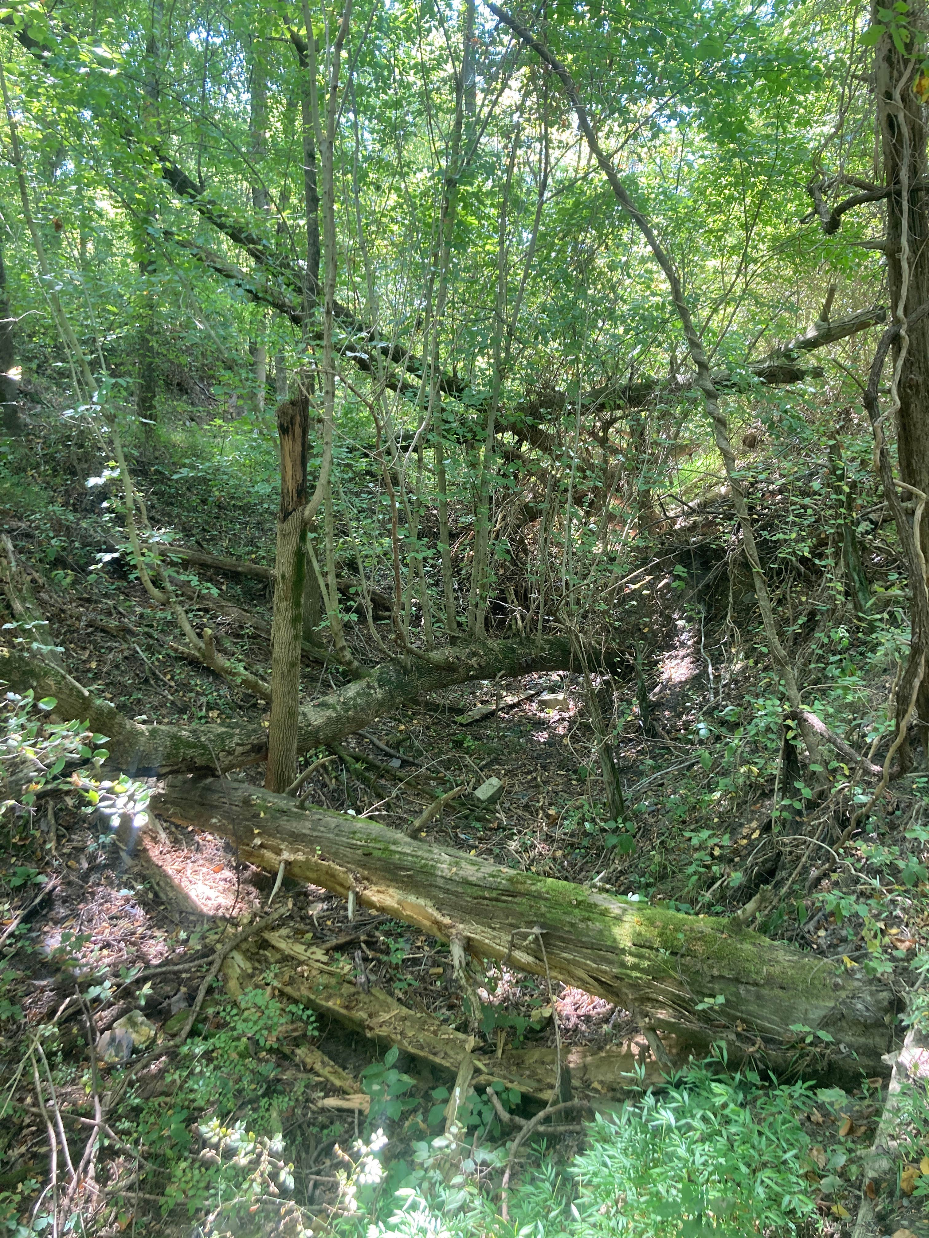 Camper submitted image from Warrick County Park Scales Lake Park - 4