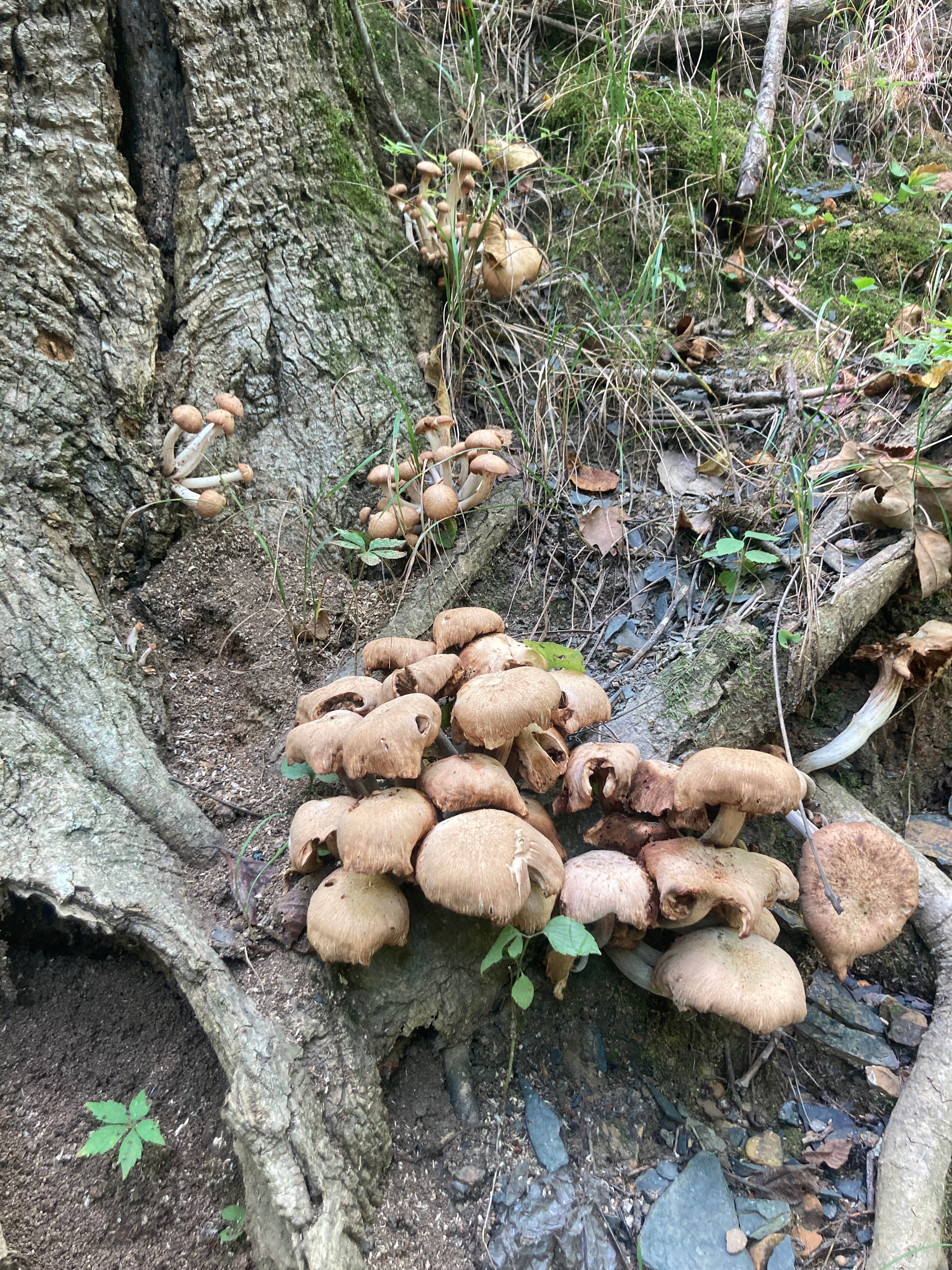 Camper-submitted photo at Warrick County Park Scales Lake Park near Lynnville, IN