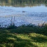 Review photo of Warrick County Park Scales Lake Park by Fox S., September 21, 2023