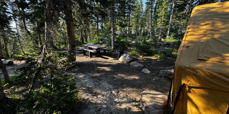Camper submitted image from Wasatch National Forest Moosehorn Campground