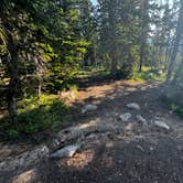 Review photo of Wasatch National Forest Moosehorn Campground by Eric P., July 13, 2024