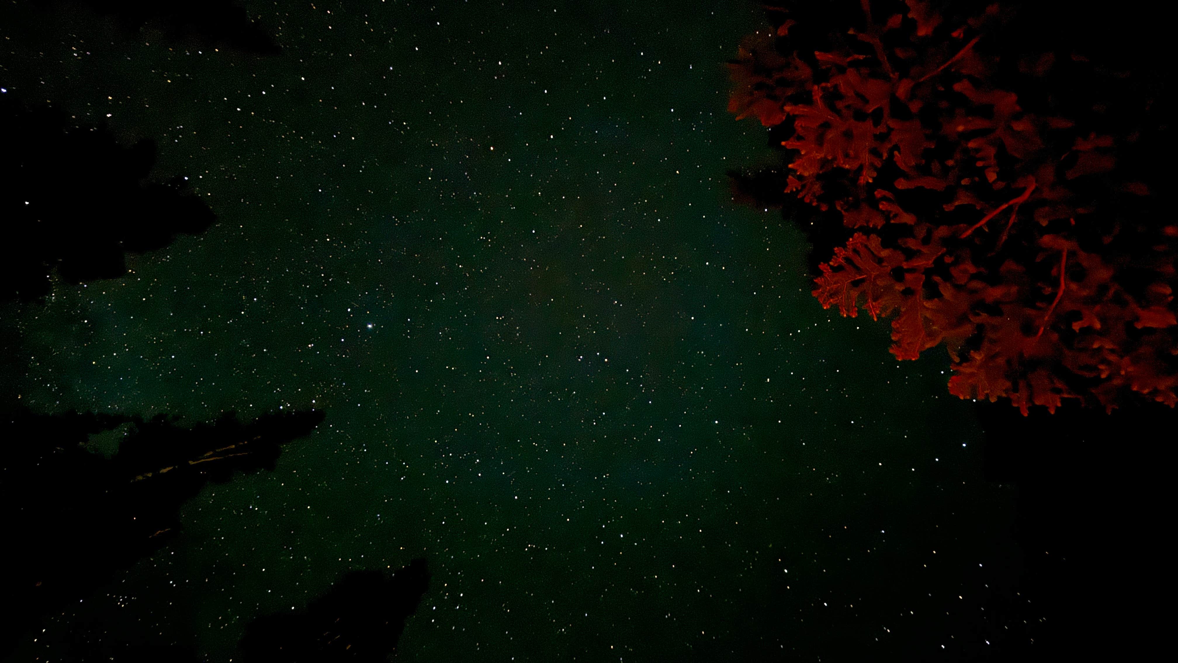 Wasatch National Forest Moosehorn Campground